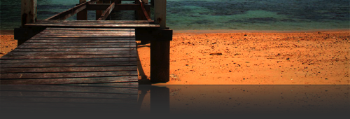 header1-1