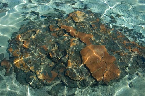 20070630-DSC_6804
