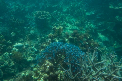 20070702-DSC_7011