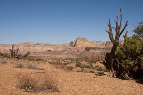 USA08-2164_17p